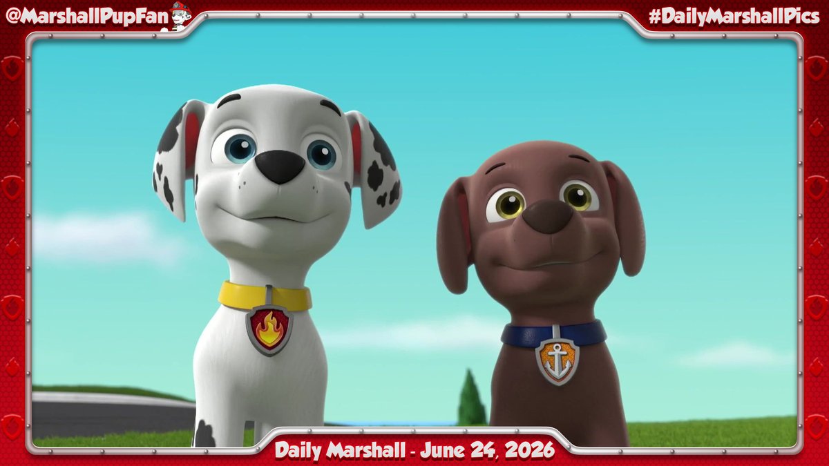 MarshallPupFan's tweet photo. Daily Marshall - June 24, 2026
#PAWPatrol #Marshall #DailyMarshallPics https://t.co/sha4UHhkYY