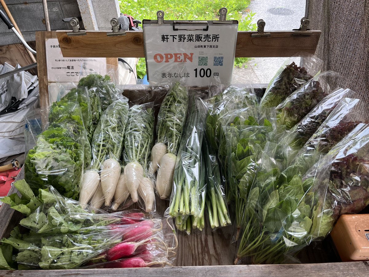 NobHatada's tweet photo. 軒下野菜販売所オープンしました
今日の野菜
サンチュ
大根の間引き菜
ネギ
ほうれん草
サニーレタス
二十日大根 https://t.co/J1wyE28Af4