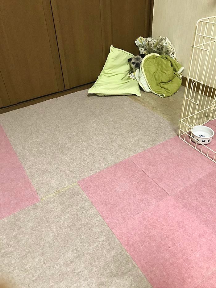 よしこ tweet media