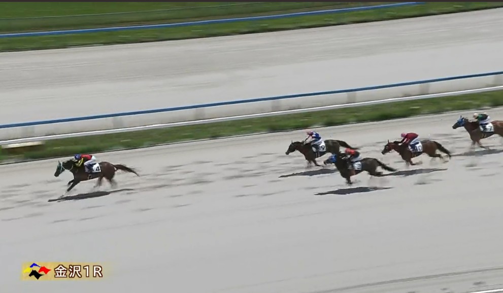 93forchan's tweet photo. 本桐牧場(本桐村田牧場)さん産駒🐴

5/31(日)金沢競馬 1R ダート1500m良

ルルーディ ♀4歳 優勝🥇🏆

スタートすると先頭に
そのまま逃げ切って3馬身差で優勝🎉
3勝目！

関係者の皆様おめでとうございます✨️

父:ストロングリターン
母:フラワーイレブン
母父:ディープスカイ https://t.co/pgxOnRrGQ1
