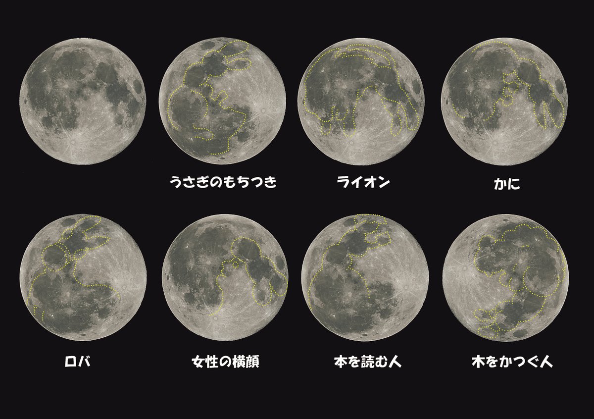星の観察館「満天星」 tweet media
