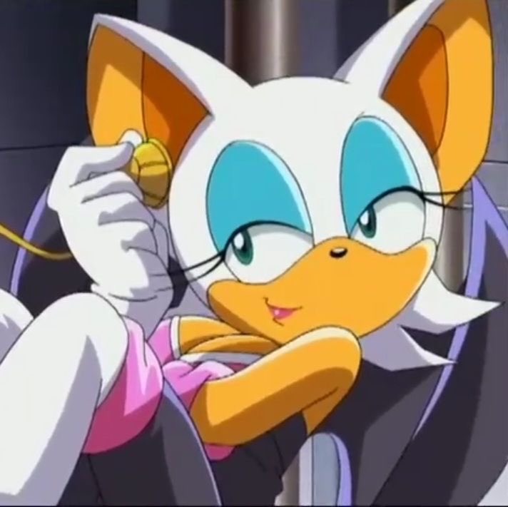 Rouge The Bat 🦇💕 tweet media
