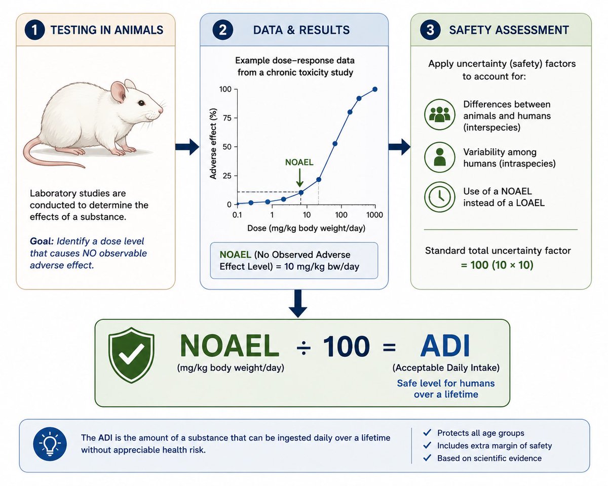 S_Sivakumar's tweet photo. How are tolerance limits decided?
🔬 Animal studies
📊 Epidemiology
🧪 Toxicology
📉 Statistical safety factors

For non-carcinogens, safety margin = NOAEL ÷ 100+. Carcinogens use different frameworks (Margin of Exposure).

#SundayScience https://t.co/9edkFJ6yjr