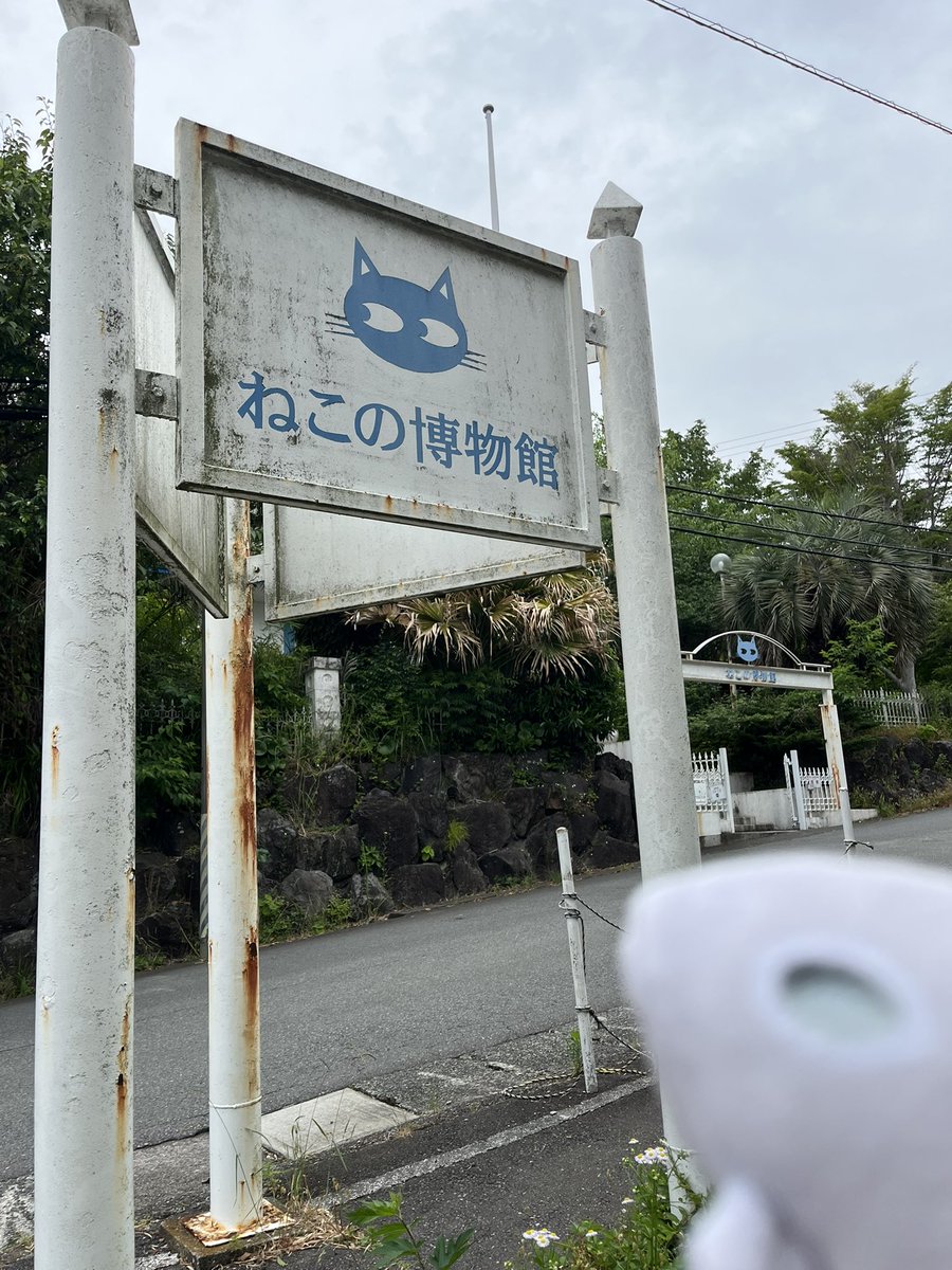 pe1q3EE3cO2lKo9's tweet photo. 今回の伊豆ツーリング最初の目的地はねこの博物館です🐅🦁😺
1Fは猫科の剥製がたくさん展示してあり圧巻🙀
2Fは可愛いねこちゃんがたくさん😺
#ねこの博物館
#伊豆ツーリング
#ガヴァドン https://t.co/sO25fDd0W8