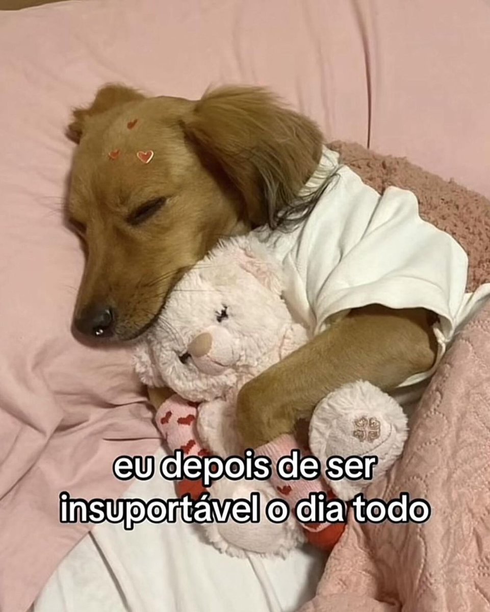 isathetaurus's tweet photo. boa noite https://t.co/3vBTGWovK2
