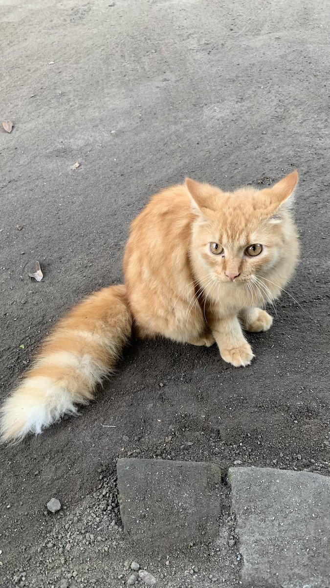 rasinnaid's tweet photo. Aku kangen banget 🥺🥺🥺 https://t.co/xYSUEvSyyt