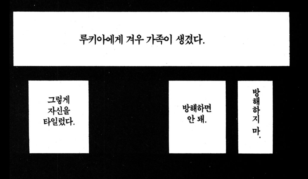 코조 tweet media