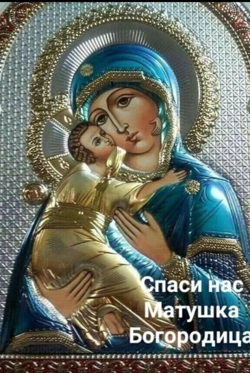 Elena Mikhailovna tweet media