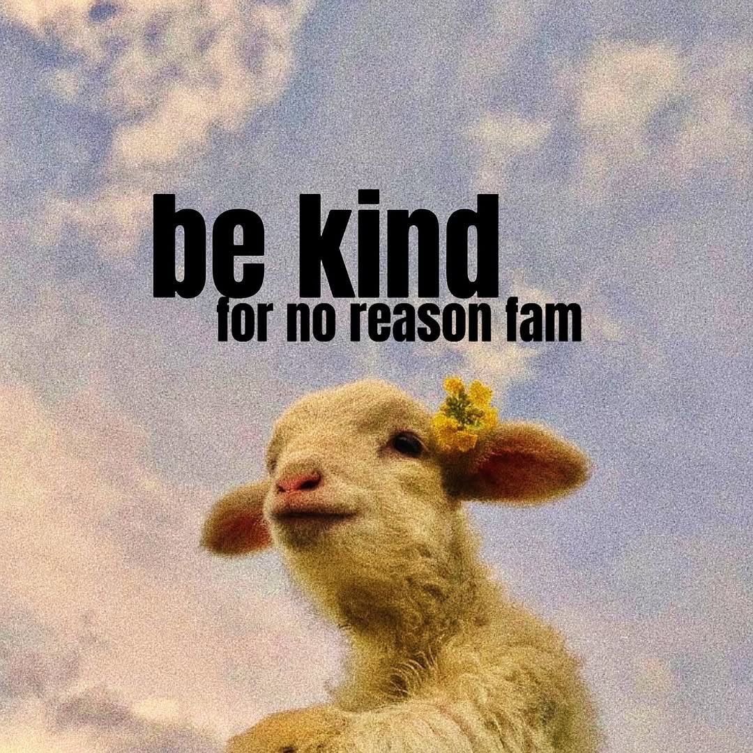 DailyDhoz's tweet photo. Just a reminder… https://t.co/wgtnXcHv4u