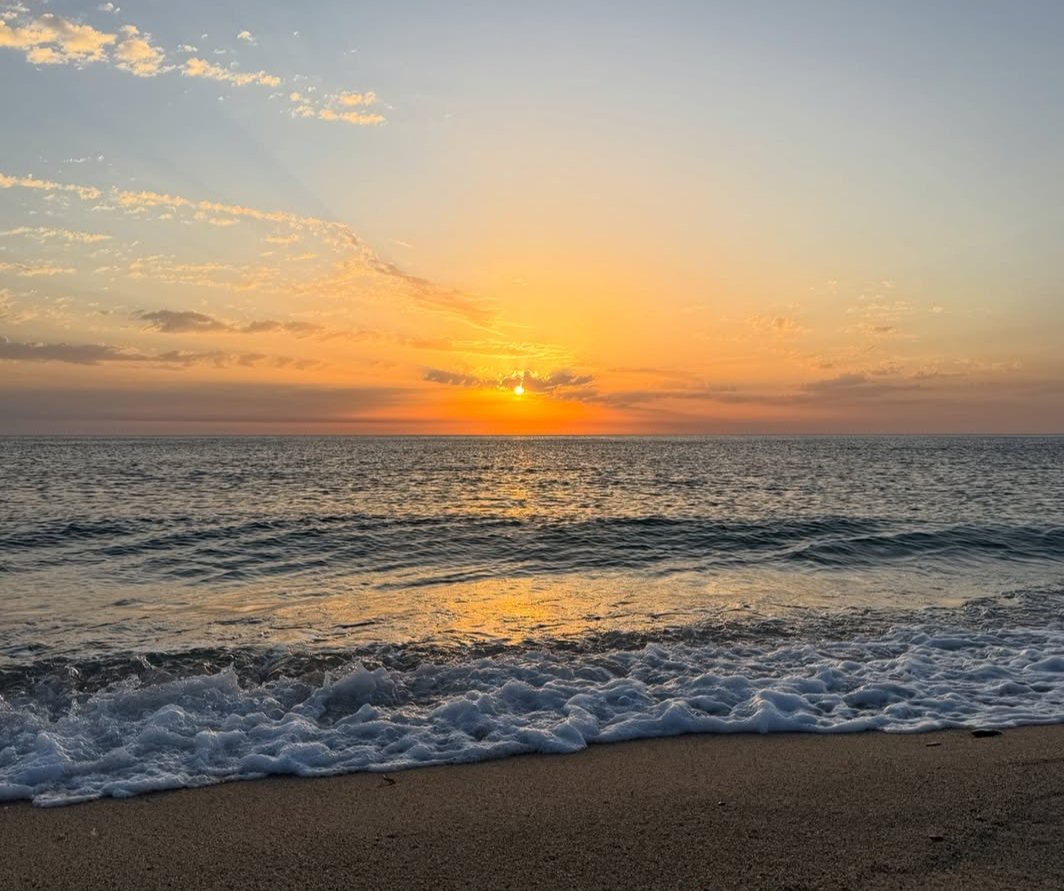 ocean tweet media