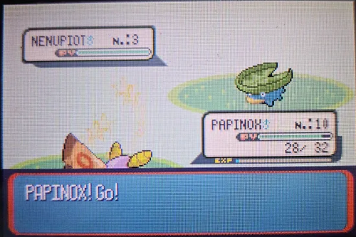 HydroPoing's tweet photo. Mon 349e aurait du être Kecleon Baron sur Z-A... mais ce petit gars en a décidé autrement ! ✨

Je cherchais des Super Bonbons avec Ramassage pour faire une photo Galifeu shiny 3G, et bam ! Dommage, il a évolué en Papinox que j'avais déjà... Retour sur Raikou, du coup. https://t.co/iGwanl9sfV