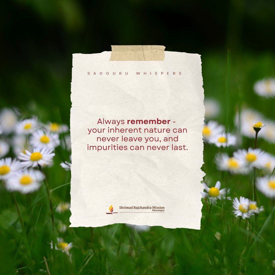 SRMDharampur's tweet photo. Always remember - your inherent nature can never leave you, and impurities can never last.
#SadguruWhispers #Quotes #QOTD #TrueNature #InnerPurity #SpiritualAwakening #TuesdayTransformation https://t.co/xrI2dvtZsL
