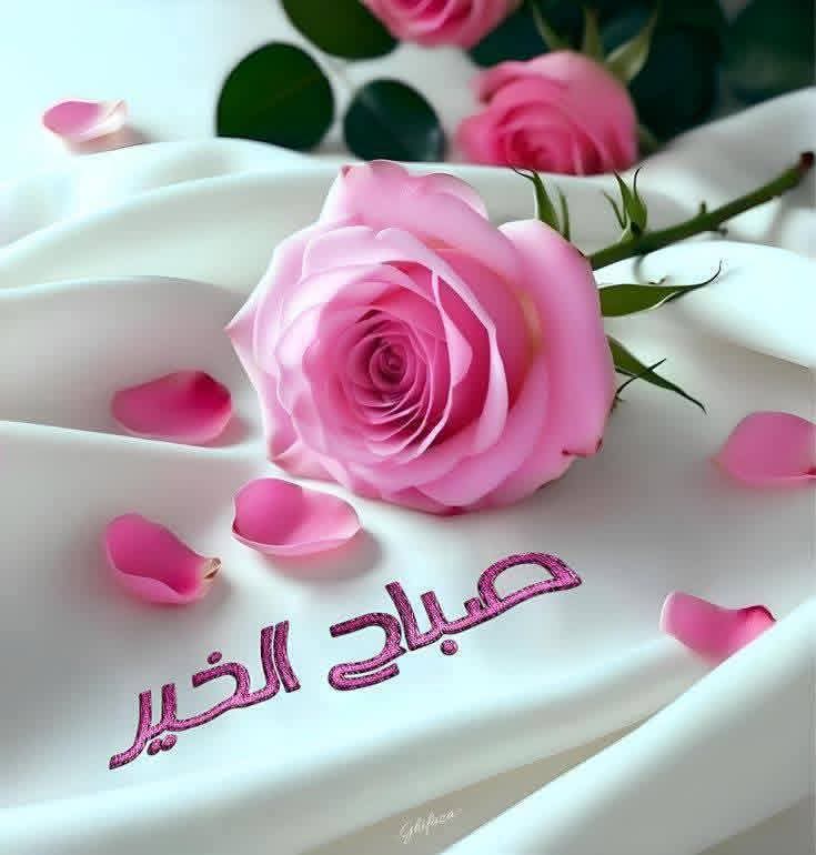 الأيام tweet media