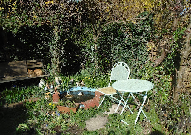 Bentonbag's tweet photo. I've blogged https://t.co/6IeI5qqb2O
#Gardening #Days #mostly #Facebook #Archives #firstyear #site #breakfast #garden #Fruitjuice #butter #applejelly #tea @BBCTheArchers #sweaty #sun #CommunityNurse #buying #work #bed #way
Feel free to RT https://t.co/eCfTAlucbM