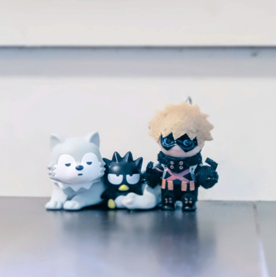 u_dooon05's tweet photo. 🐺×✖️⭕️という、ｯﾁｬを感じる組み合わせで迷わず回したｶﾞﾁｬ。とても可愛い❧ https://t.co/HDfMt89YH4