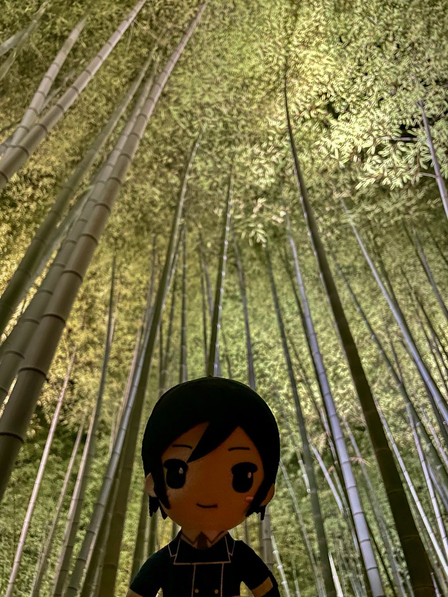 yagenui's tweet photo. ライトアップされた竹林だよ、やげぬい https://t.co/VKJnuGrprv