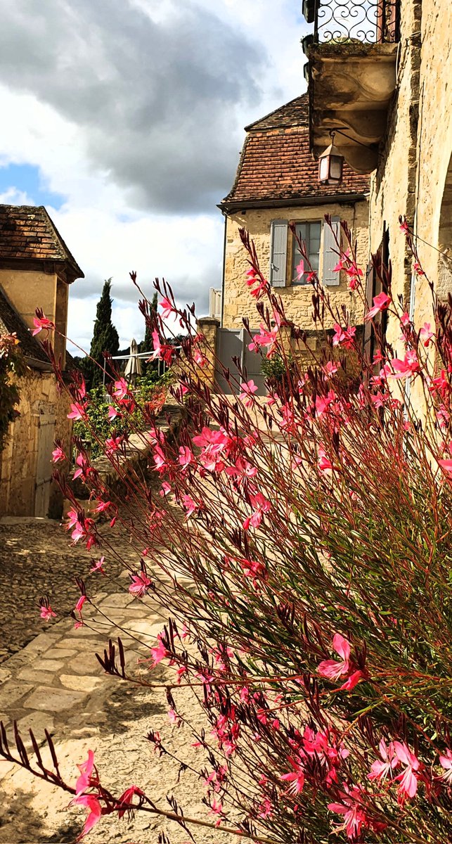 claude_castera's tweet photo. Beynac-et-Cazenac.Dordogne https://t.co/thcdU7PMDv