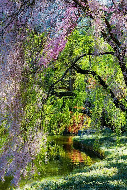 colorrvibe's tweet photo. 🌿 https://t.co/ULvjdD6xbj