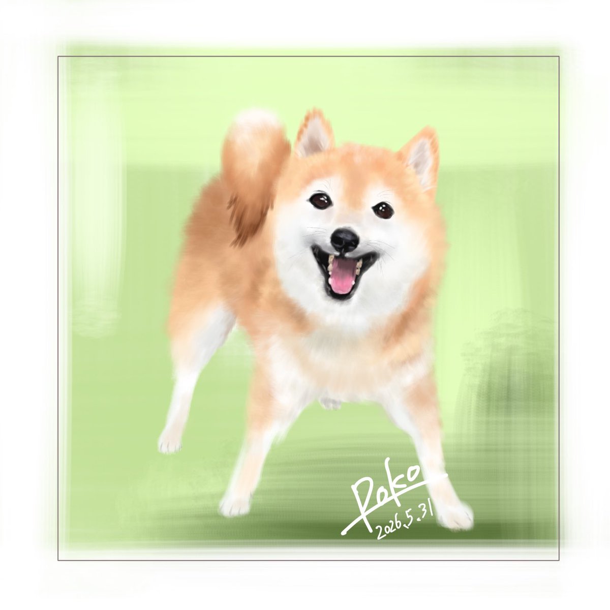 柴犬おとちゃん🐕6歳 (@0218_oto) / Posts / X
