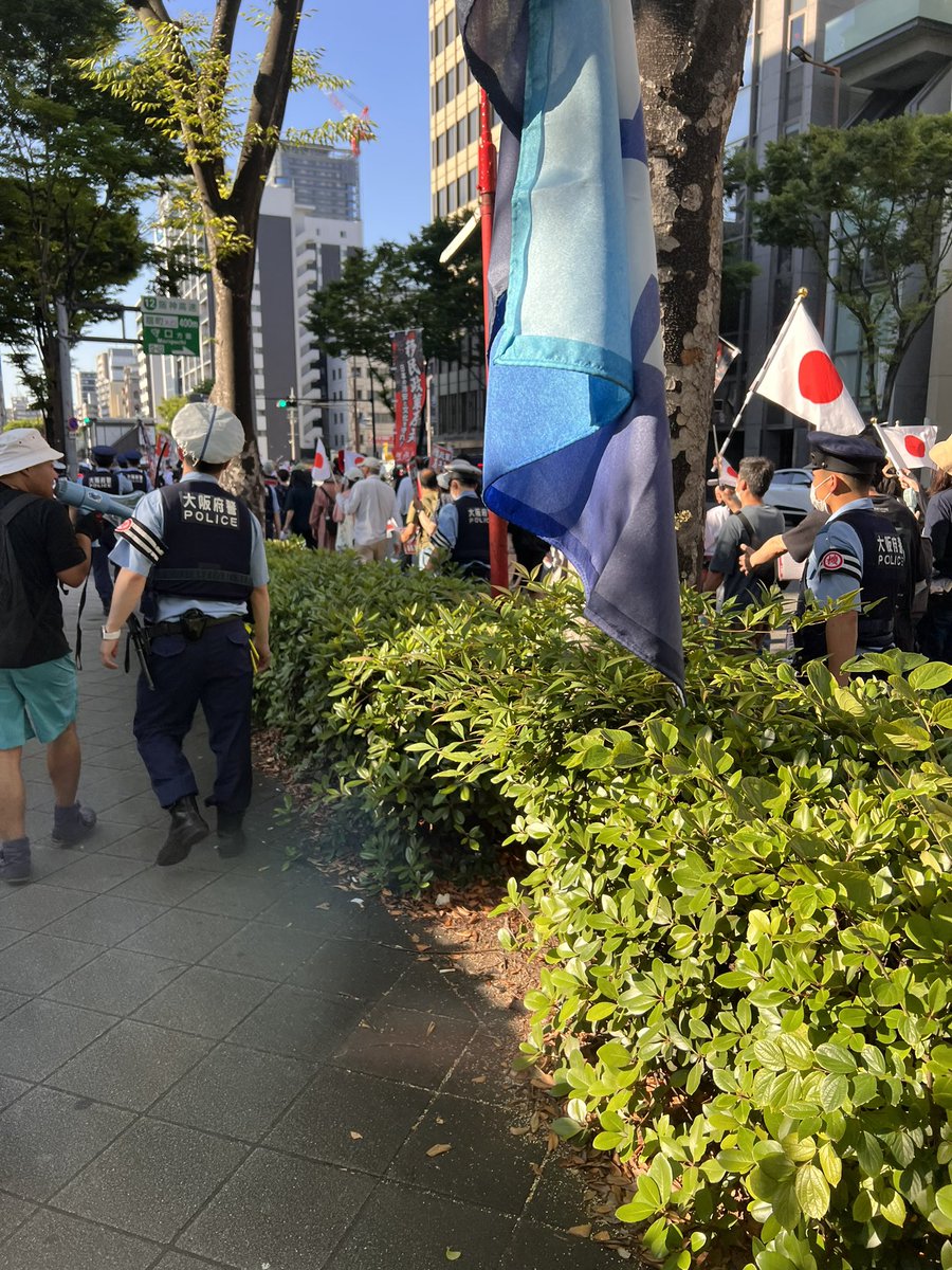 大阪市の街路樹撤去を考える会 tweet media