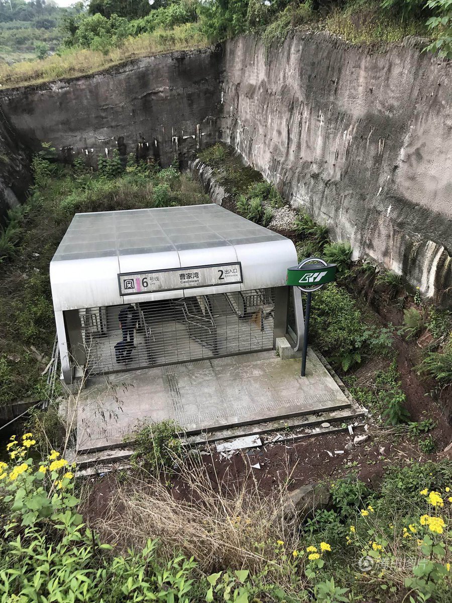 面白ツイート図鑑 tweet media
