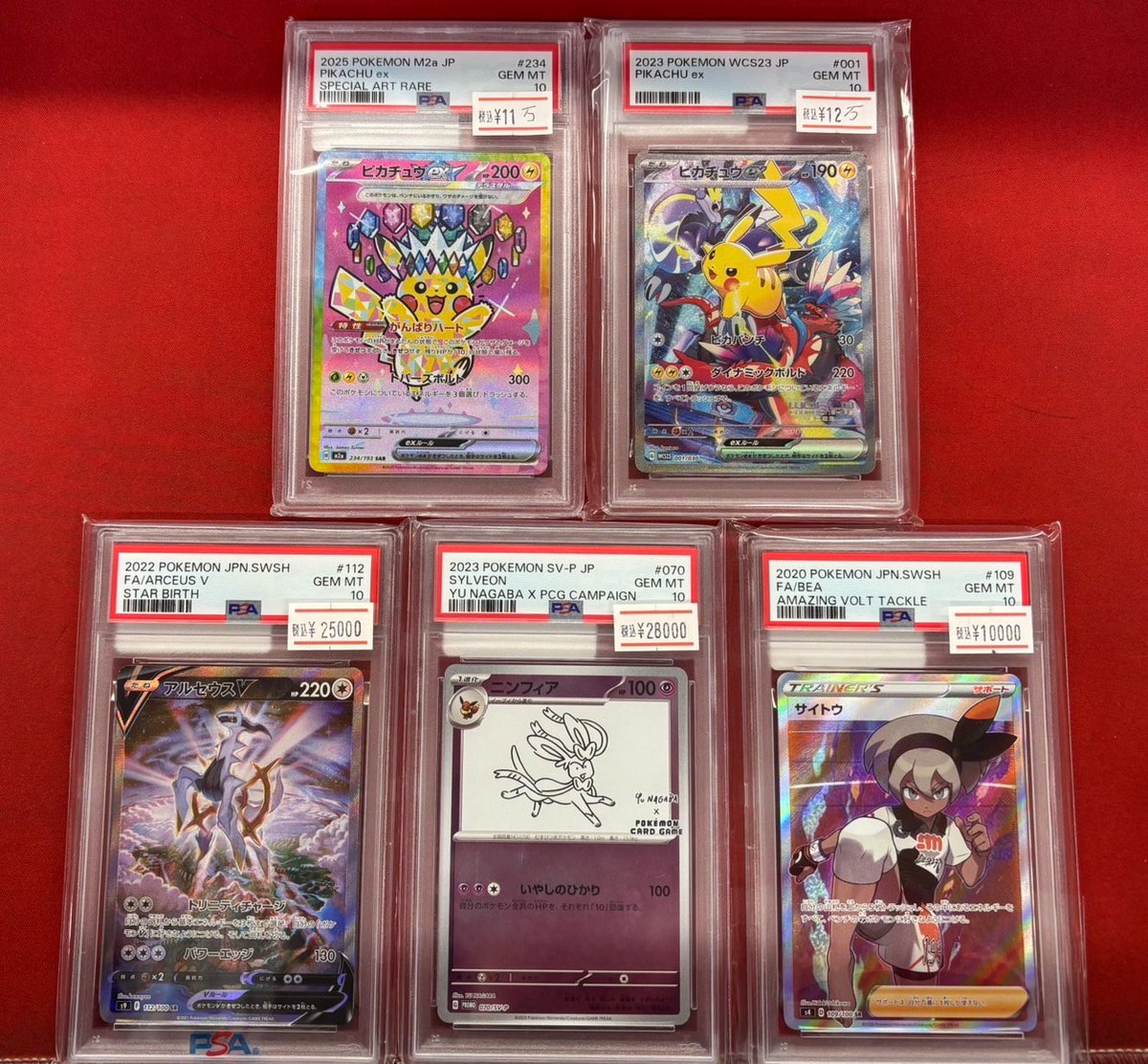 ポケカ 鑑定品情報📢 ✨---🌟---🌟---✨ ピカチュウex【SAR】《PSA10