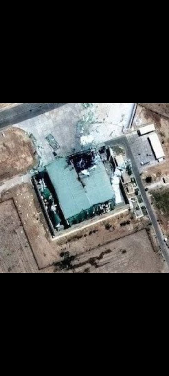 Pig ISPR tweet media