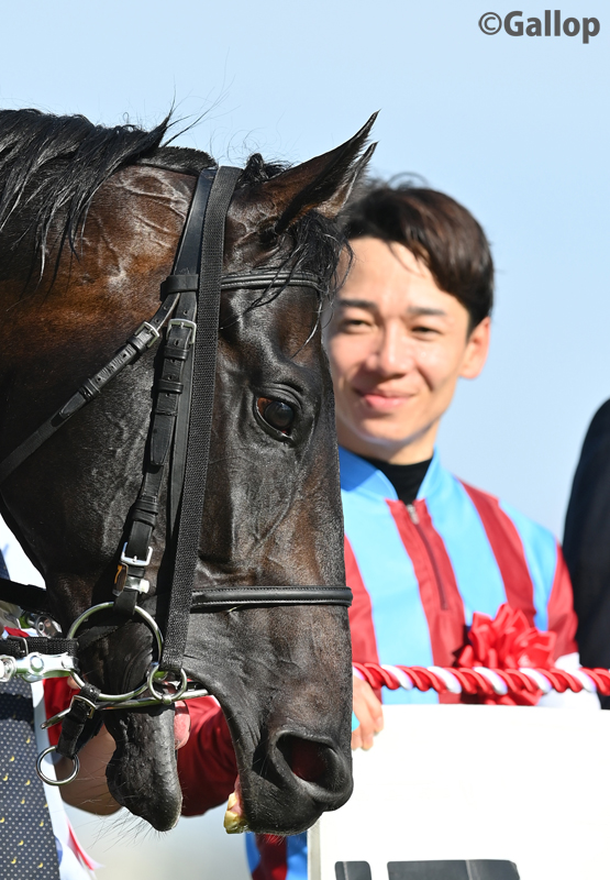 週刊Gallop(Weekly Gallop) tweet media