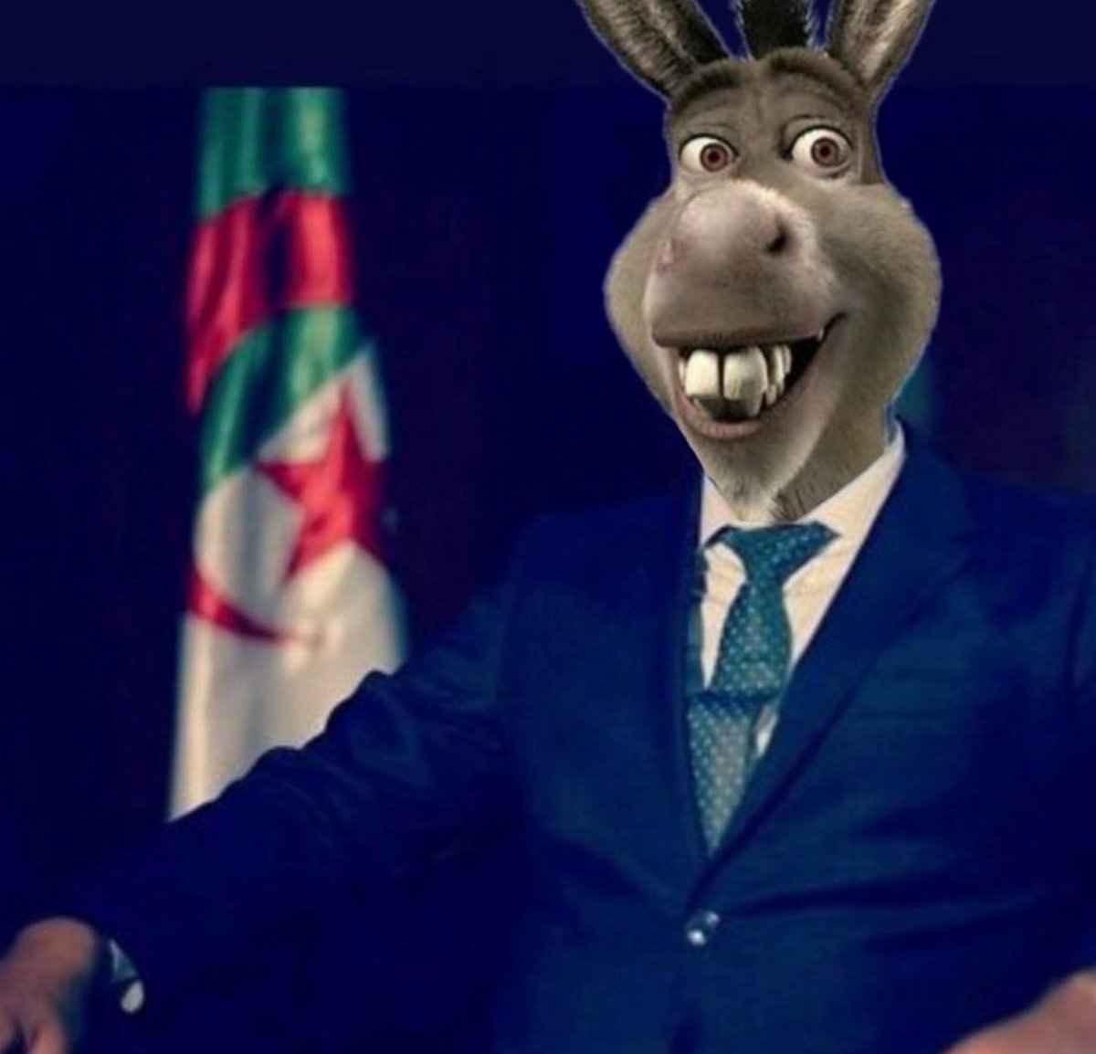 Samishh14's tweet photo. @ahafsidz الكرغولي هو الوحيد الذي يخترع أبطالا من ورق، وكأن أغنية فيها سب للمغرب عقدة الكراغلة إنجاز عظيم، وكأنها ستتسبب في سقوط المغرب أو في خروج المخزن من الصحراء. والله إنكم مختلون عقليا.😂😂 https://t.co/MphLbNWObH