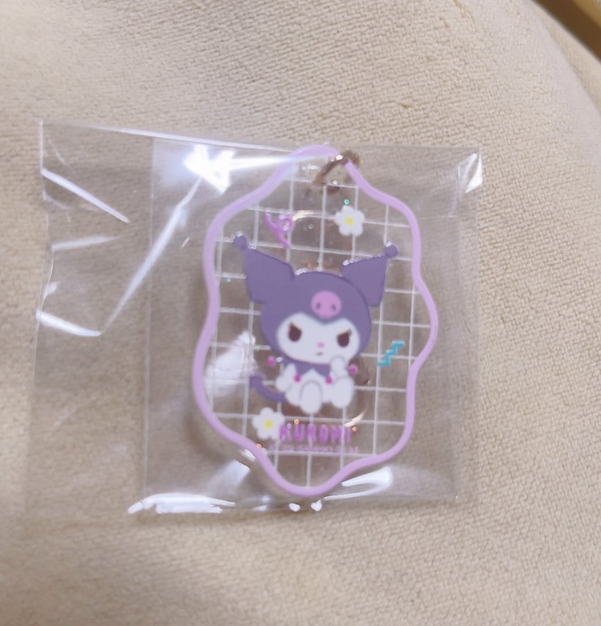 dosuhiki's tweet photo. 【交換】サンリオ　シークレットぷっくりクリアキーホルダー　ポチャッコ　アクリルキーホルダー　アクキー

【譲】クロミ

【求】同種　ポチャッコ

検索からもお気軽にお声��けください https://t.co/CYQuuikJ4J