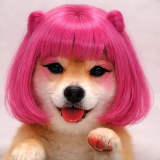 ChillDev131's tweet photo. Pride month is here

The best coin to send about this is this cat

It used to be a dog but  it recently transitioned into a cat

The T in LGBTQ must be represented on-chain

Happy Pride Month 🏳️‍🌈 https://t.co/yTgWZvloH2