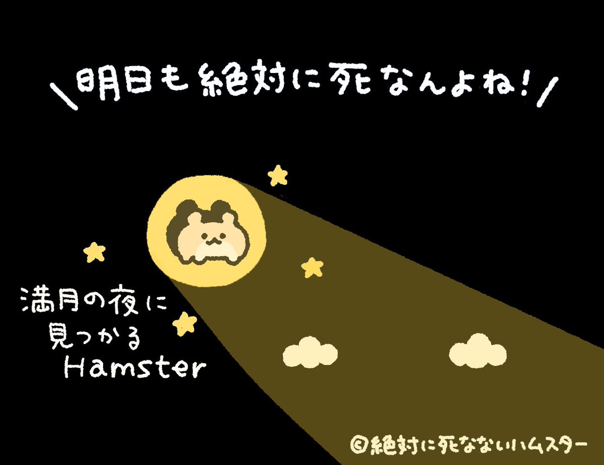 ZETSUHAMU's tweet photo. 今夜も絶ハムスターが見守っているぞ https://t.co/PbD4BVsoww