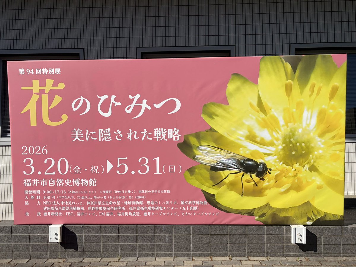 fumazora's tweet photo. ウォーキング中に立ち寄ってみました🌿 https://t.co/Qvu6oLXfuC