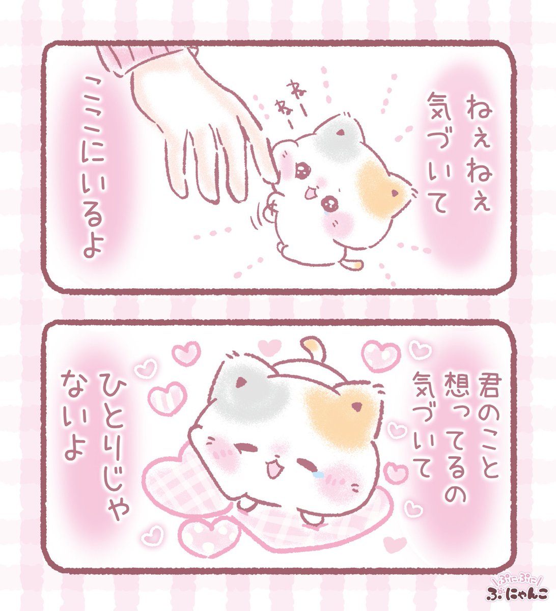 ぷにゃんこ🐾|TOKUDOME🌼 tweet media