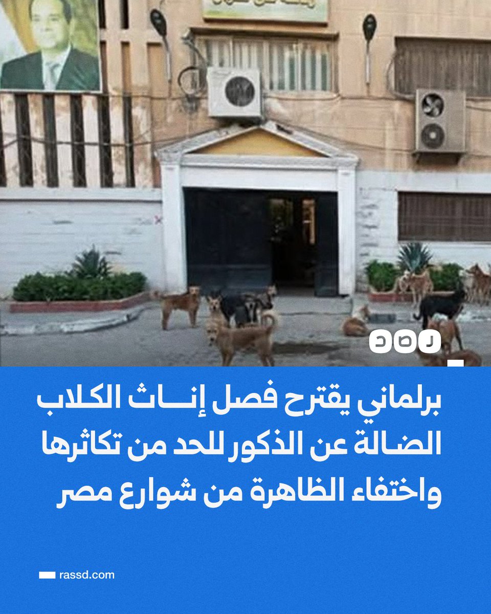 شبكة رصد tweet media