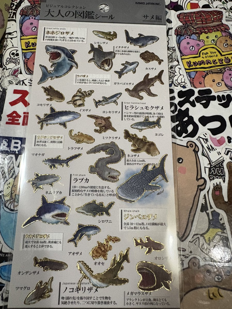 chibi_chanz's tweet photo. やっと出逢えた🥰

#深海魚 https://t.co/8A9yY4eq7c