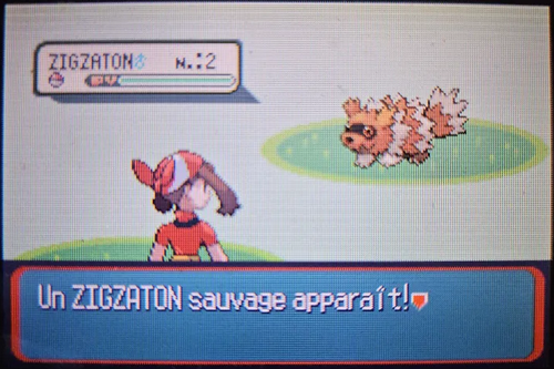 HydroPoing's tweet photo. Holy fucking shit, mon 350e shiny full odds était censé être Raikou mais lui aussi en a décidé autrement ! 💀✨

Je sais juste pas quoi dire là, c'est juste pas croyable, je veux juste 2 Super Bonbons pour faire évoluer Poussifeu merde 😂 https://t.co/jtEF8wkADM