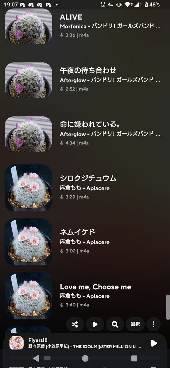 WoFFSAmサボテン車掌 諦めたんでサボテンで統一してます