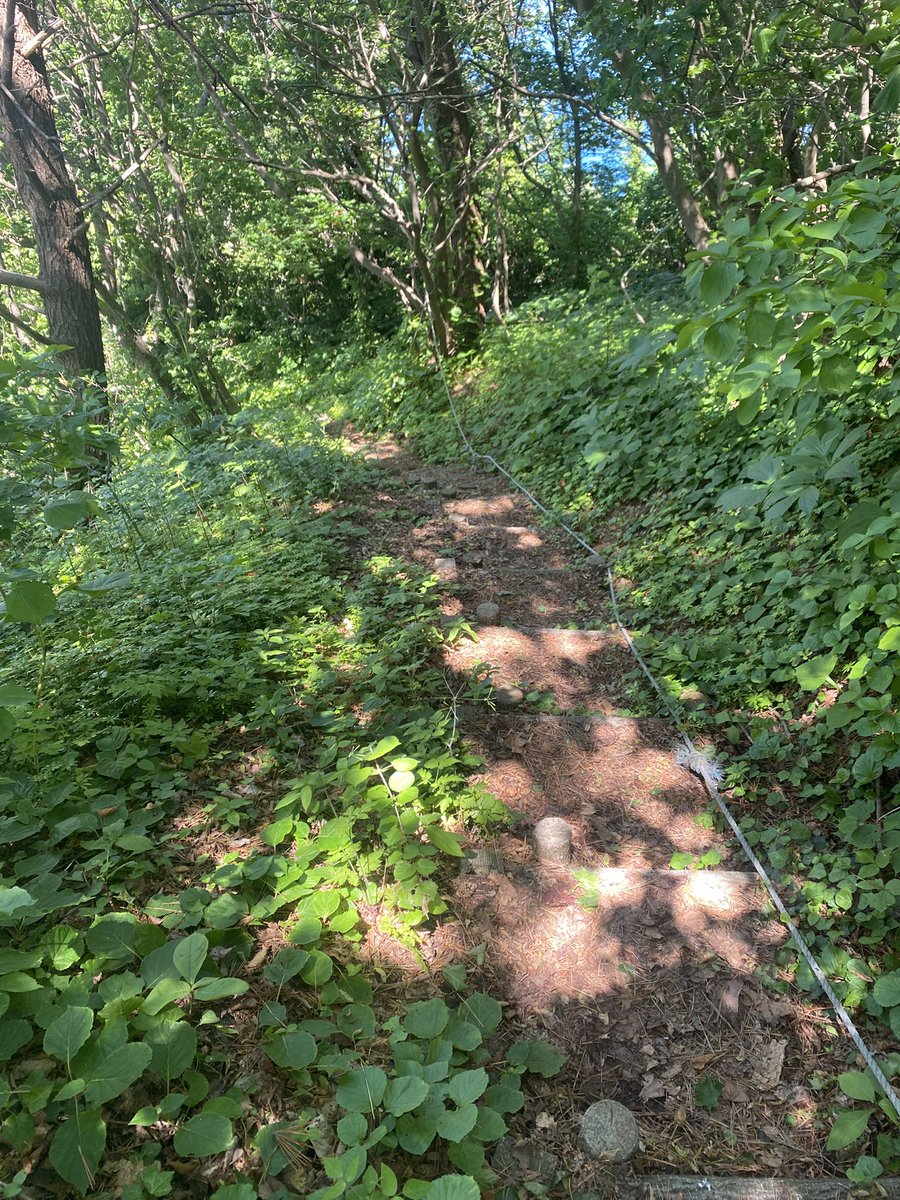 1941Simakaze's tweet photo. 今日はバイクで夏泊半島の大島に٩( 'ω' )و
山登り辛かった。 https://t.co/xkv6wwg4UZ