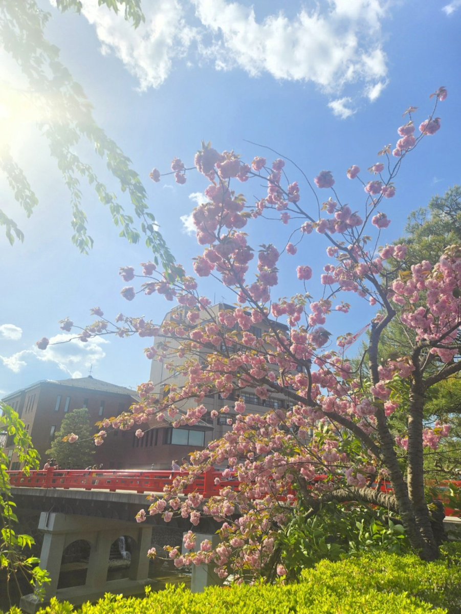 watangashi's tweet photo. 今月誕生日だったから
旅行に連れてきてもらいました

5月は推しにもフォロワーさんにも会えて、マニアツアーきっかけで新しく繋がれた方もいてほんっっとに楽しく過ごせました🌸
いい誕生月になりました
ありがとうございました〜✌🥰 https://t.co/9bTbV4aRCr