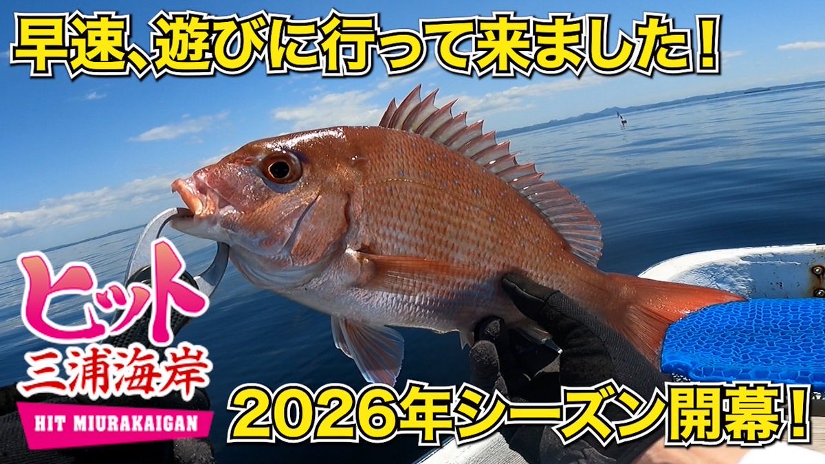 dennoupanda's tweet photo. 今シーズンも熱い海になりそうです🔥【青物・タイラバ】2026開幕したばかりの『ヒット三浦海岸』さんに遊びに行って来ました！やはりこの海は期待値アリアリです！ https://t.co/vb3DWZTTK8 @YouTubeより
#ヒット三浦海岸
#青物
#タイラバ https://t.co/CAGJd3K6Q7