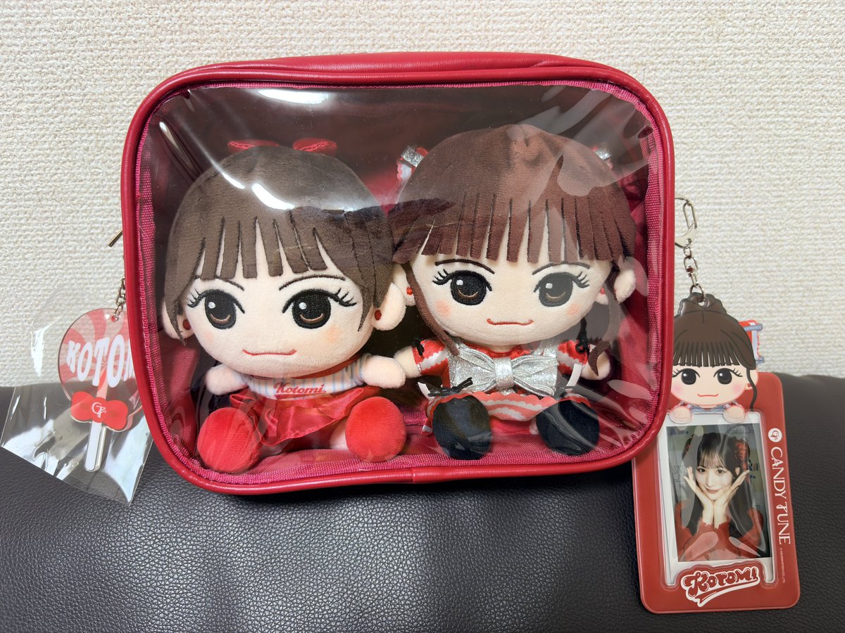 まって！！新しく新調したぬいポーチに入れたらガチ可愛すぎるだけど