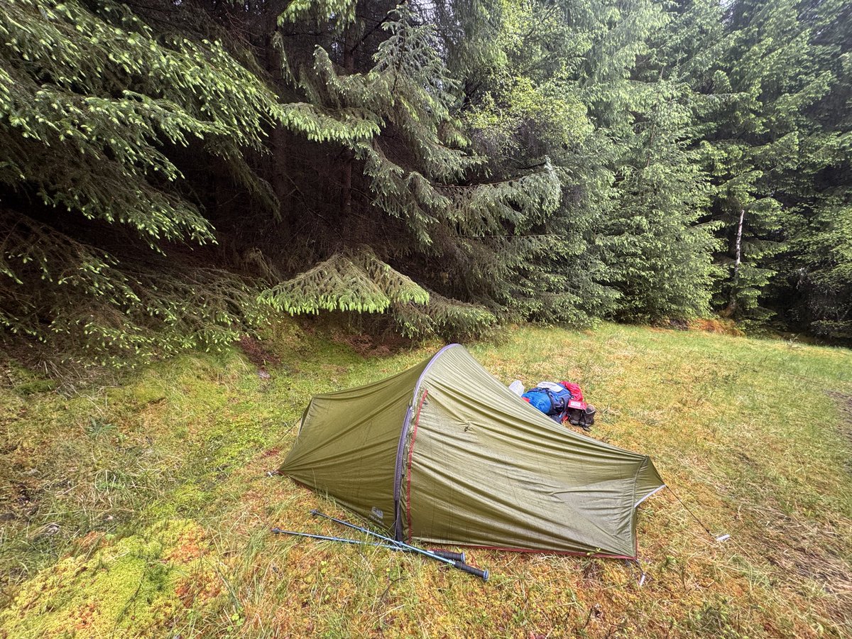 aliceoutthere1's tweet photo. Good morning! From the very wet forests of Scotland! I'm hiking the Affric Kintail trail and it has rained a lot! https://t.co/p51bvGz0me