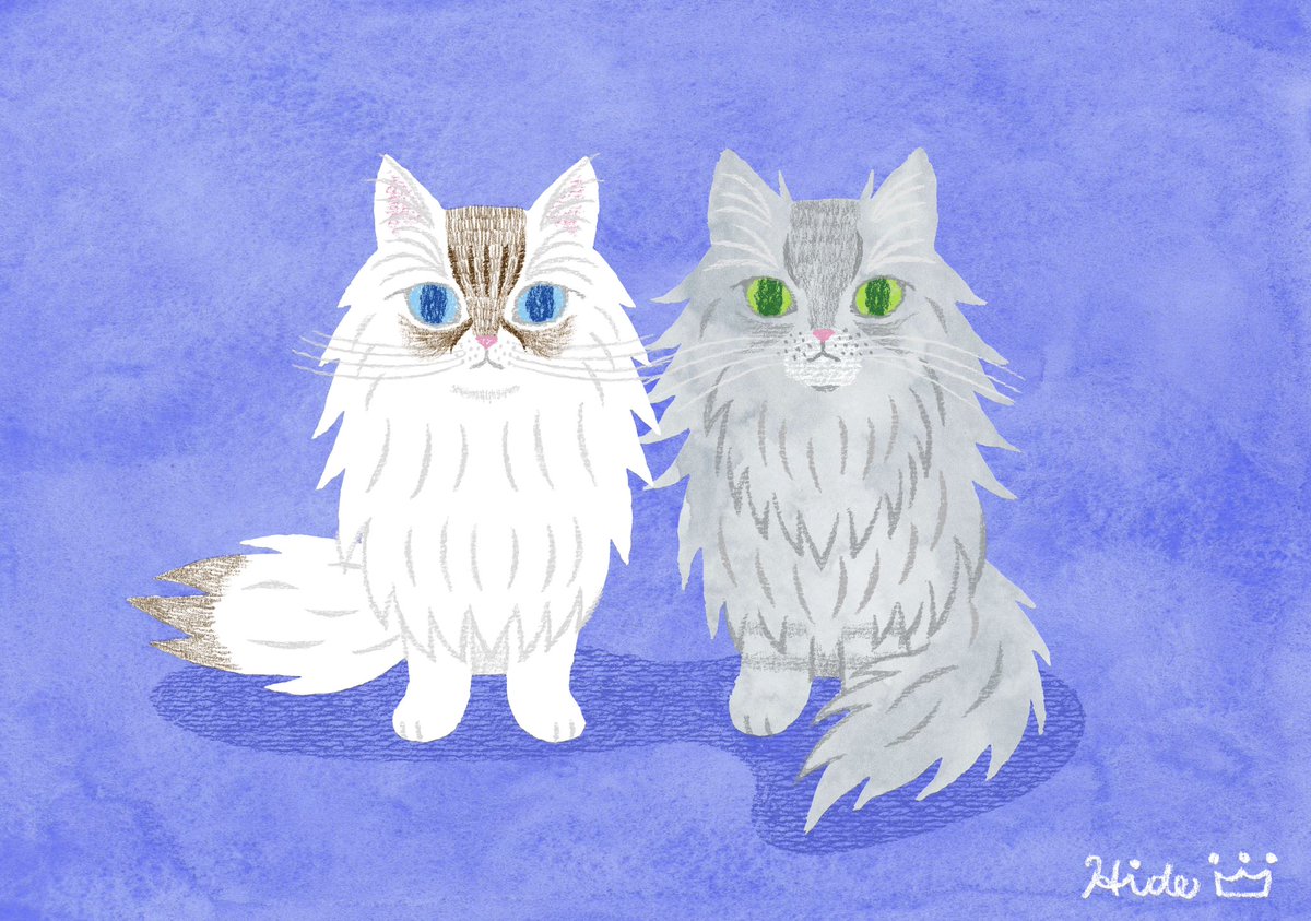 hidekin30385540's tweet photo. 『Two Siberian cats』
どっちのサイベリアンが好きですか？
#猫 #cat #サイベリアン #イラスト #イラストレーション #イラストレーター #アート #デザイン #illustration #illustrator #art #design https://t.co/Fu91xDWyXg