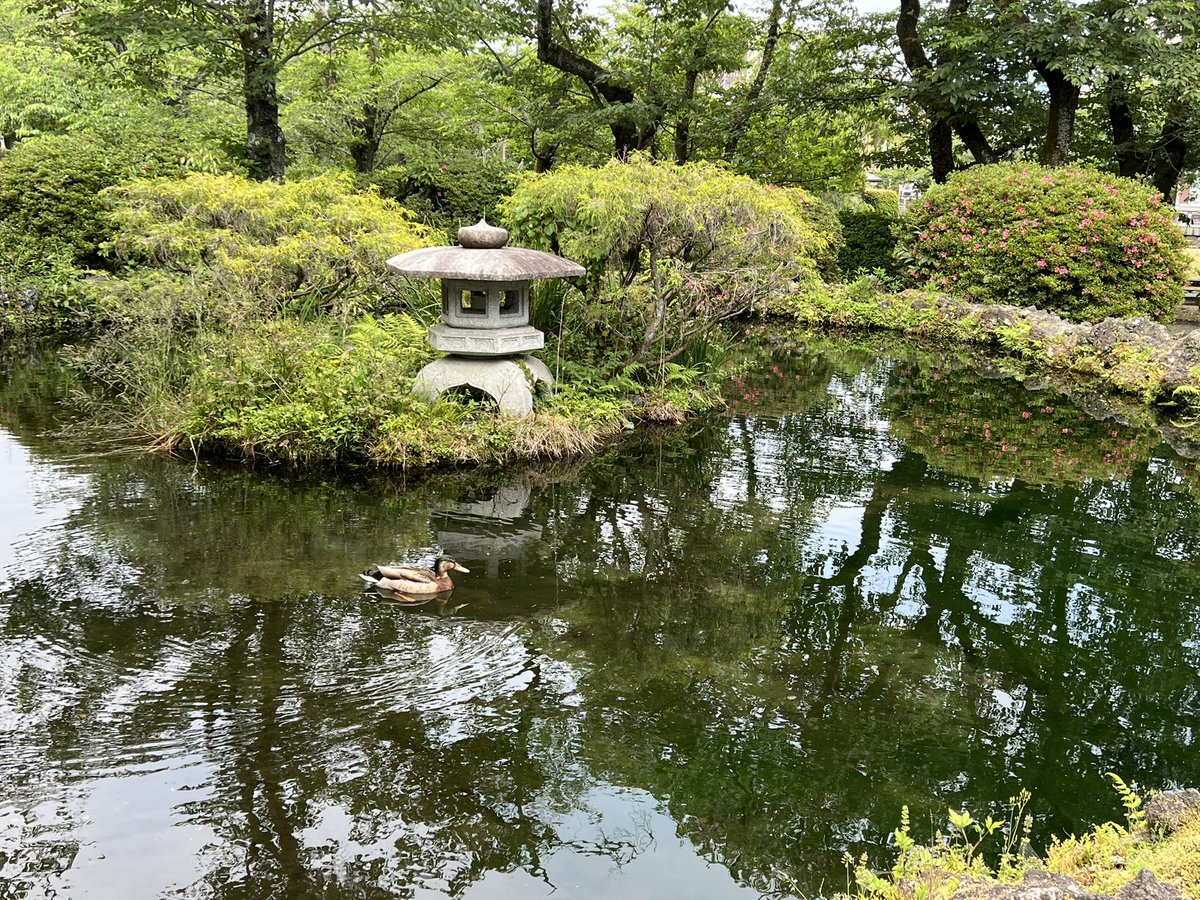 muzzlin's tweet photo. バスを間違えた結果、2時間近くバスに乗ることになり、やっとのことでたどり着いた富士山本宮浅間大社 https://t.co/eaEPJjGhxi