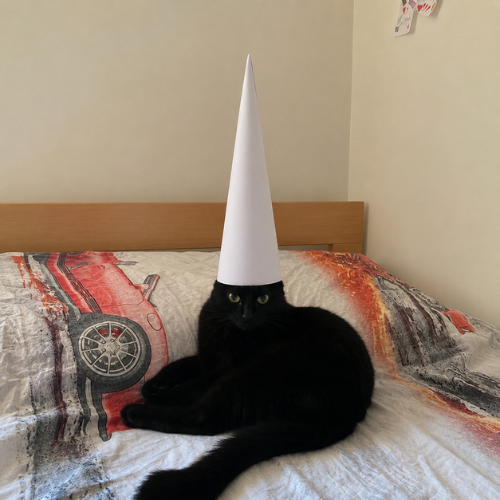 Wizard Cat tweet media