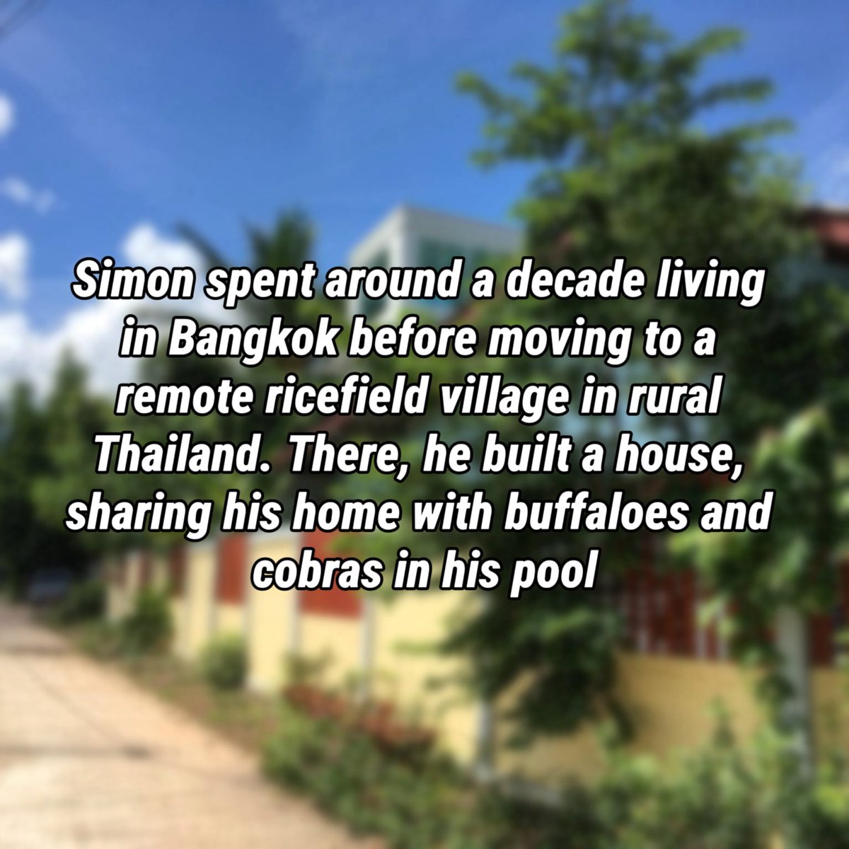 simonGdaily's tweet photo. https://t.co/GIGzKrfToc