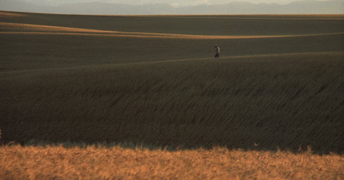 gutsfan4's tweet photo. the fact that this film was shot almost entirely during golden hour was so worth it. has to be up there with the most beautifully shot films ever. https://t.co/HDNaS2zJhj