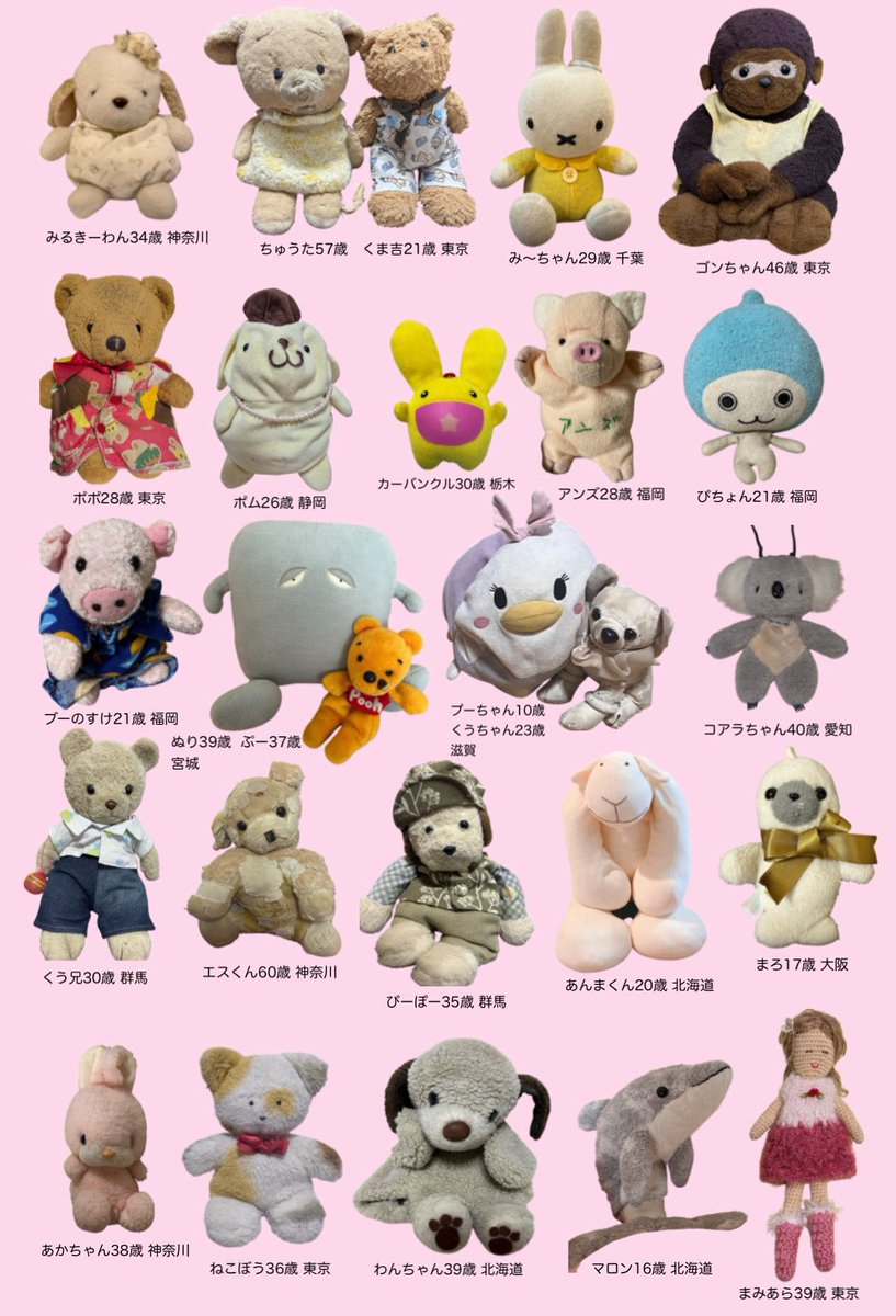 ramadakun's tweet photo. 『ぬいぐるみ図鑑』持っている方はどれくらいの頻度で読み返していますか？🐶📙🌼ぬいぐるみを大切にしている人にとって仲間がいるんだな、ってとてもワクワクと希望になる一冊です🌈💖💛 https://t.co/7xjIsJwcOL