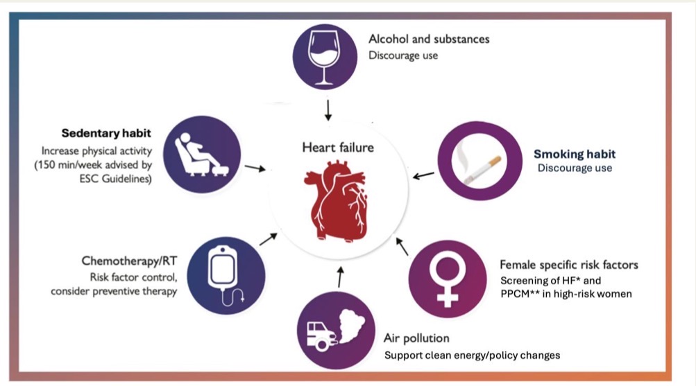 almucastro01's tweet photo. Tenemos deberes este domingo:
Recién publicado el documento de @escardio:

🫀Prevention of heart failure🫀

https://t.co/6MBV7K35lq https://t.co/TkucoQqi3g